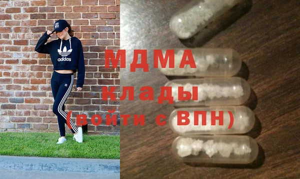 хмурый Аркадак