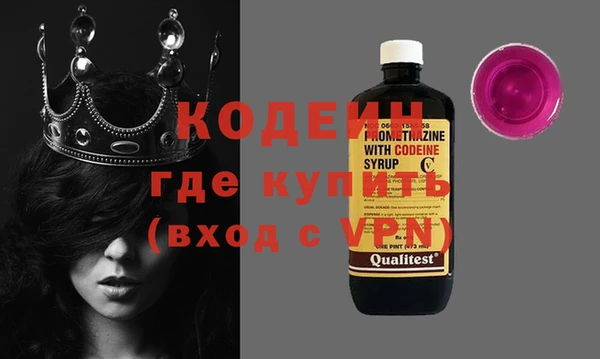 хмурый Аркадак