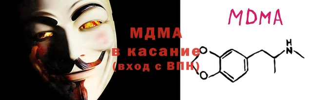 хмурый Аркадак