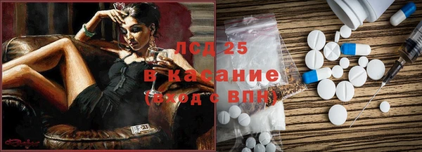 хмурый Аркадак
