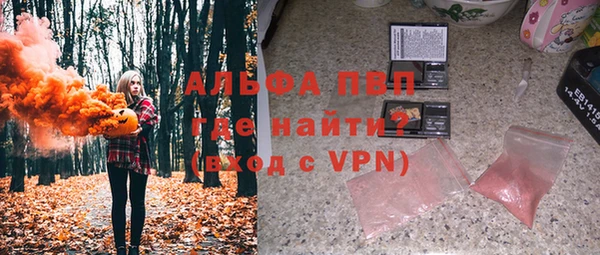 хмурый Аркадак